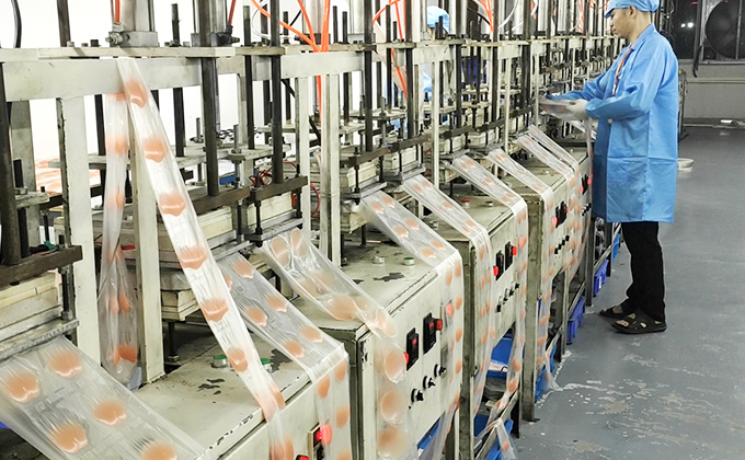 Sweetyle automated production line for high-capacity nipple pasties manufacturing