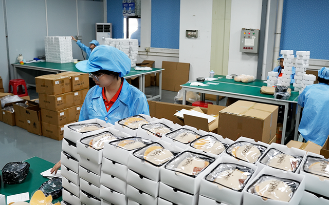 Large inventory of wholesale nipple pasties and boob tape ready for fast global shipping